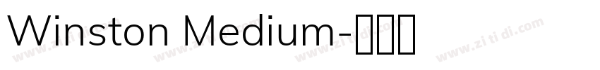 Winston Medium字体转换